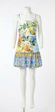 NEW GILNER FARRAR soraya dress in portofino print